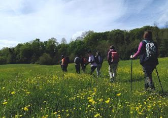 valli-parma-Boschi-Carrega-trekking
