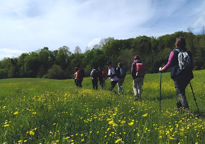 valli-parma-Boschi-Carrega-trekking