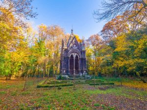 Bosco del Sasseto, Tuscia