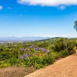Kirstenbosch National Botanical Garden