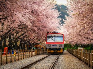 Viaggi in treno da fare in primavera