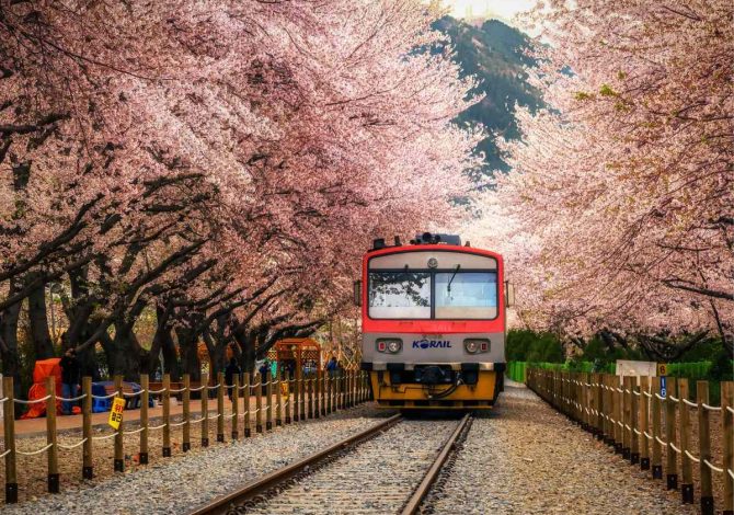Viaggi in treno da fare in primavera