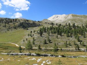 Parlamento delle Marmotte, Alpe di Fanes