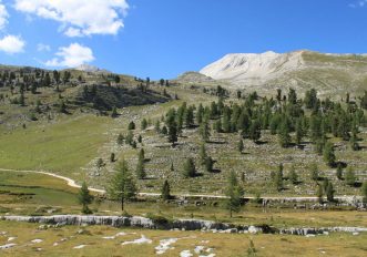 Parlamento delle Marmotte, Alpe di Fanes