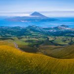 Pico
