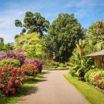 Royal Botanic Gardens