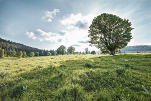 Parco naturale Chasseral Svizzera