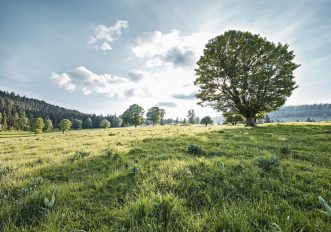 Parco naturale Chasseral Svizzera