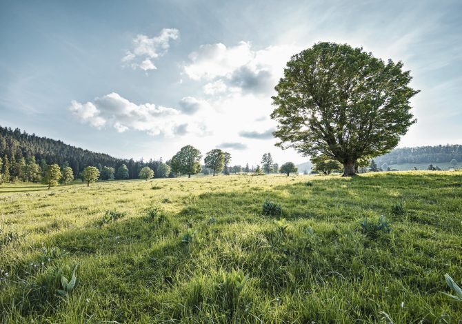 Parco naturale Chasseral Svizzera