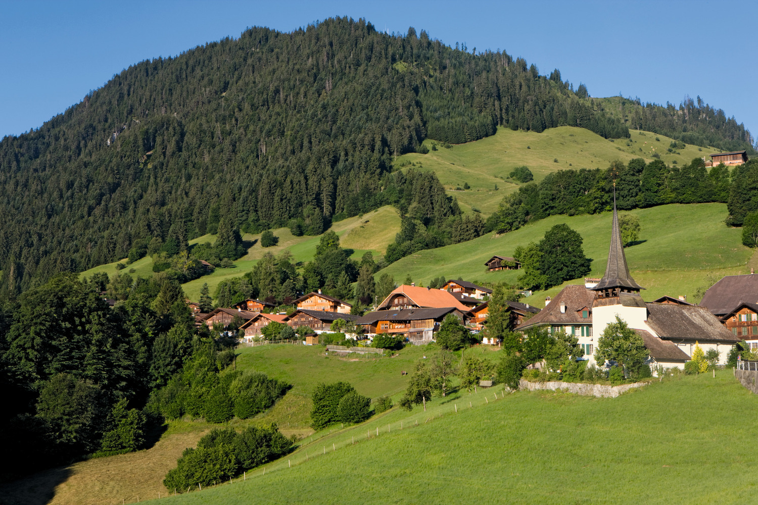 Parco naturale Diemtigtal Svizzera