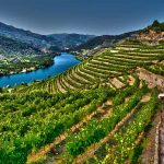 Valle del Douro
