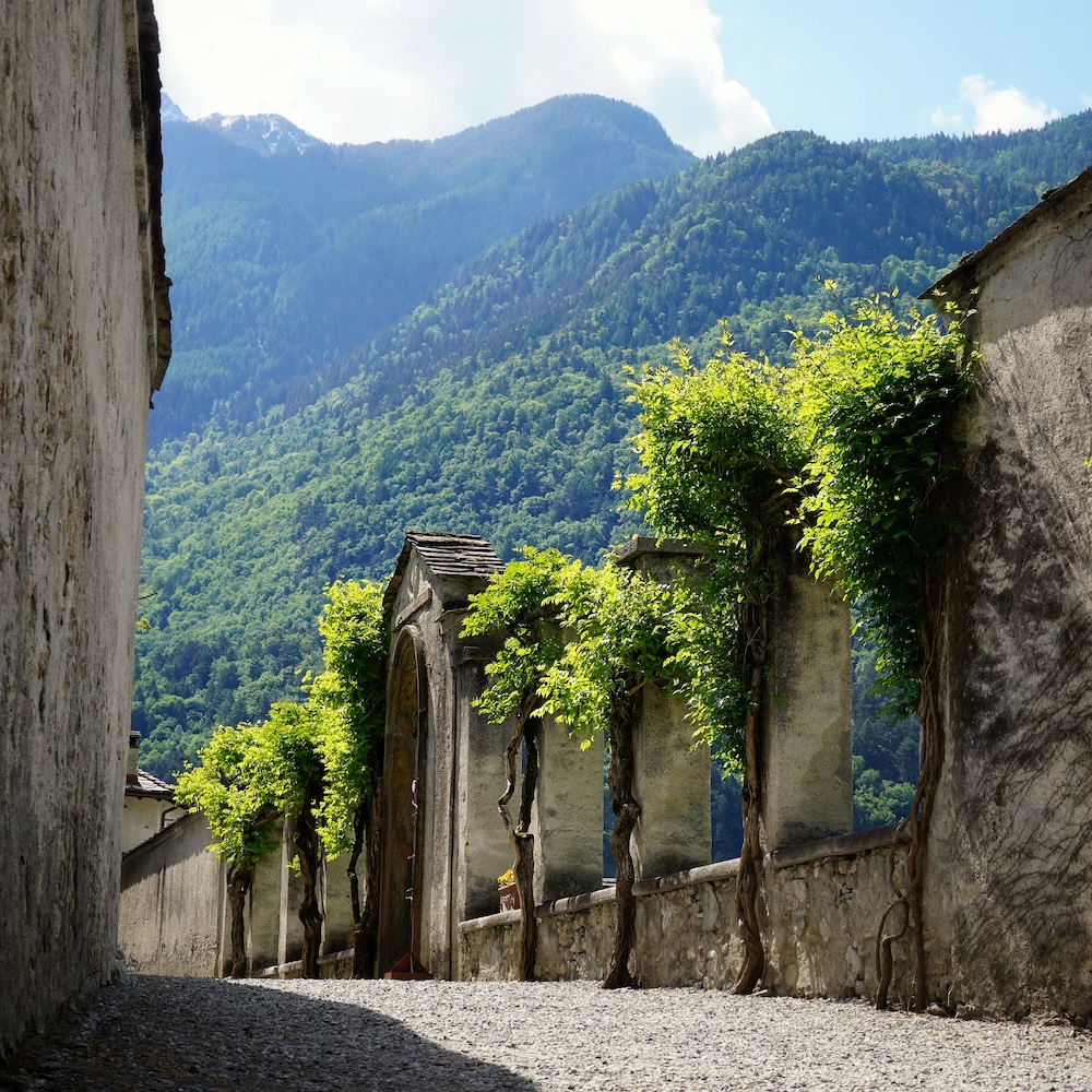 07 - i viali di palazzo vertemate franchi