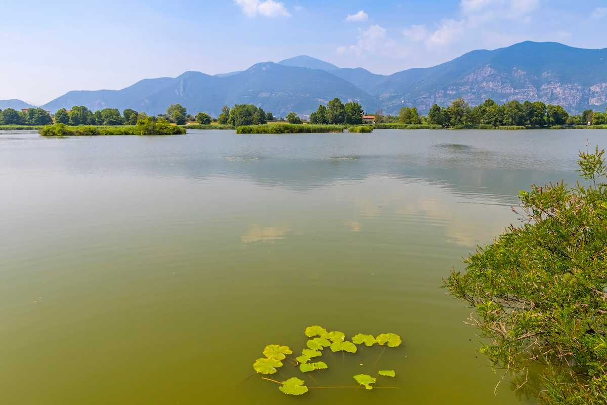 Riserva della Biosfera Valle Camonica-VISITA