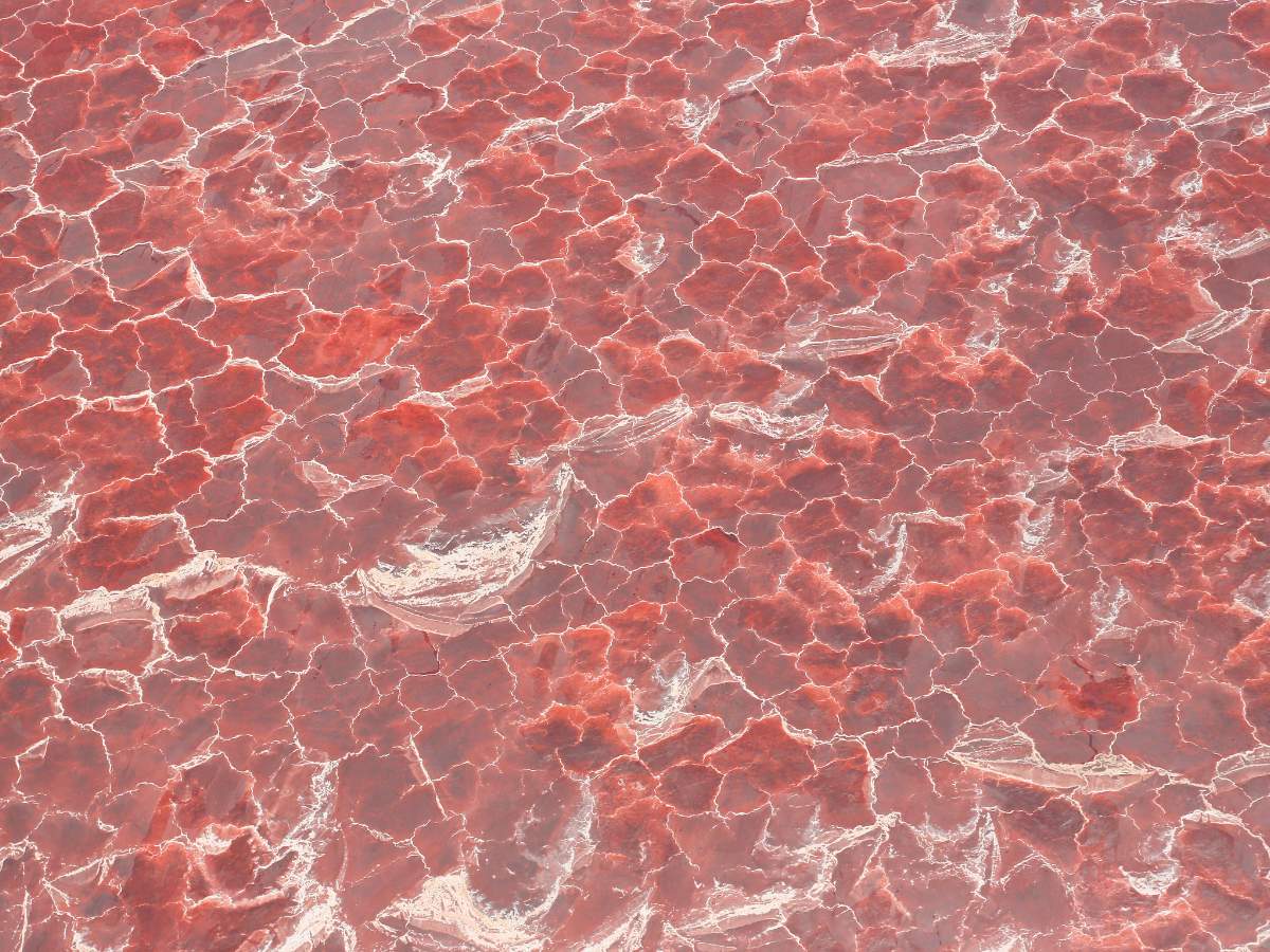 Colorazione scarlatta del Natron