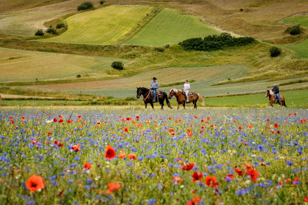 castelluccio