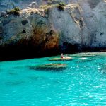 Palmarola