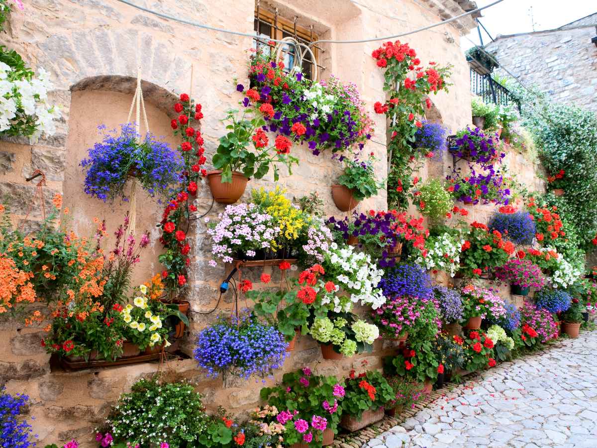 Spello, il borgo dei fiori