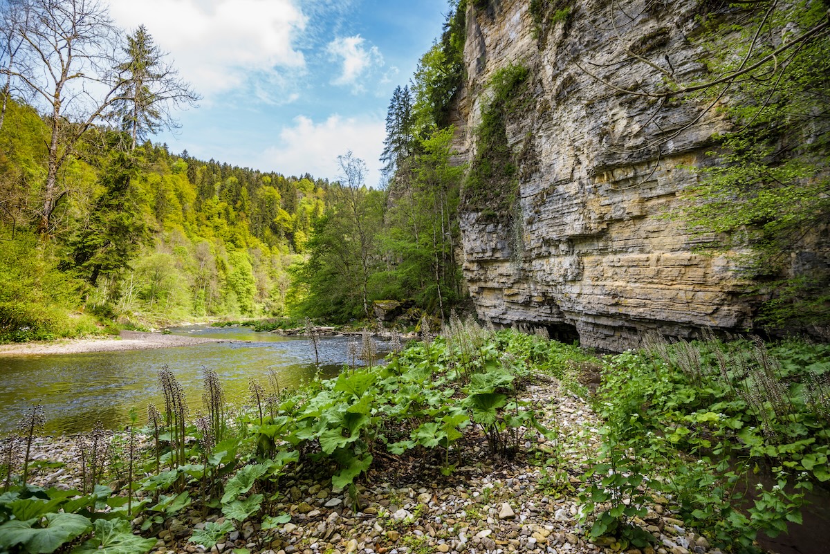 canyon-Wutach