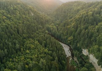 gola-wutacht-foresta-nera-germania