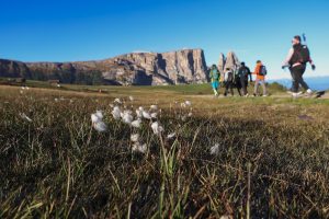 dolomiti-maratona-adler