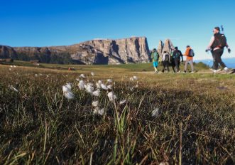 dolomiti-maratona-adler