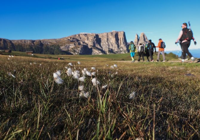 dolomiti-maratona-adler