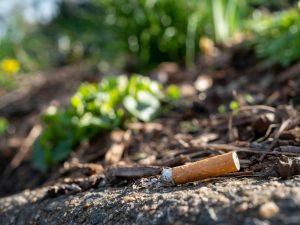 Fumo e mozziconi di sigaretta che inquinano ambiente e salute