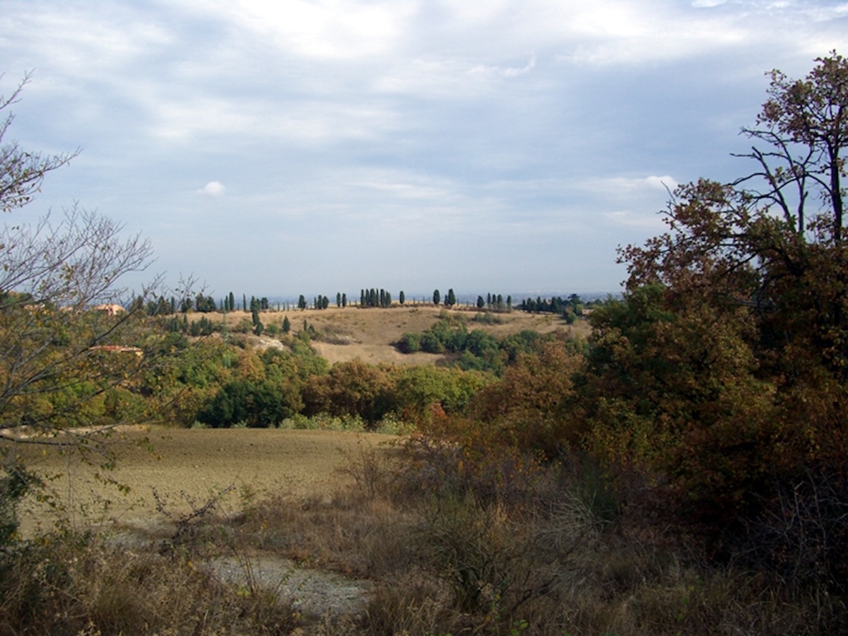 spipola-dintorni