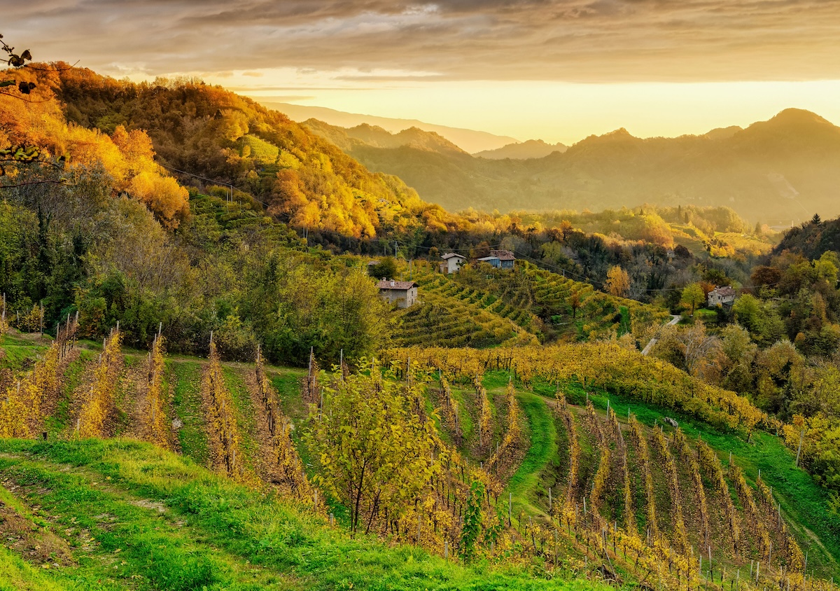 sentiero-vigneti-prosecco