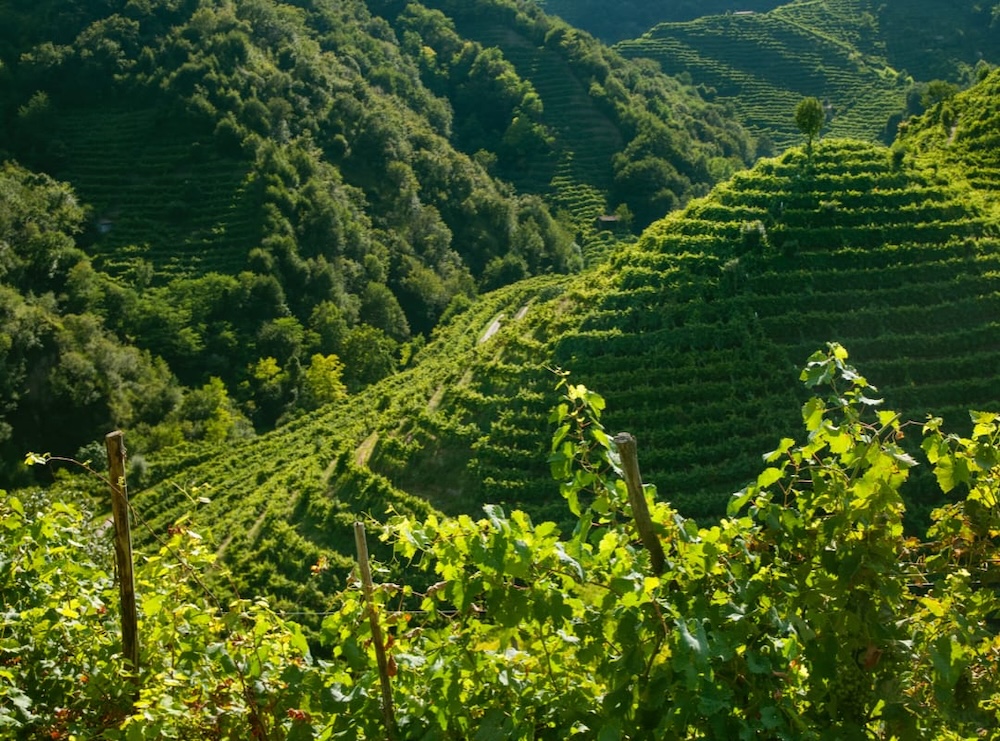 Ciglione-colline-prosecco