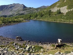 Lago-Monscera-piemonte