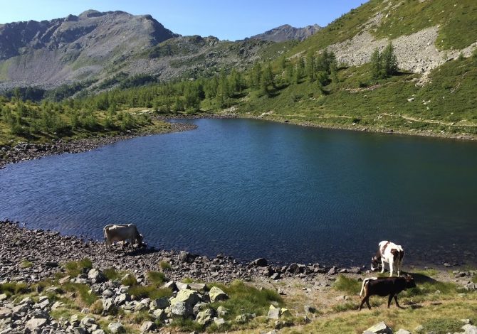 Lago-Monscera-piemonte
