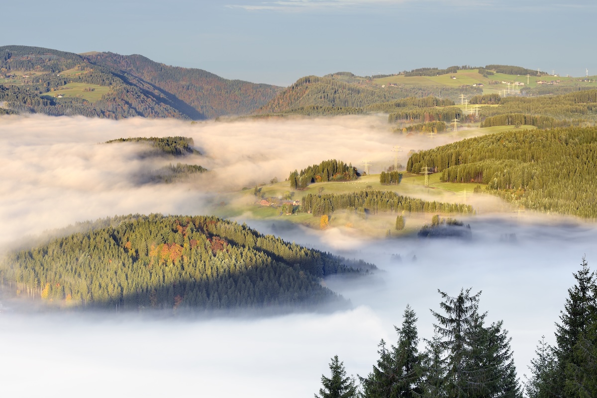 Titisee-lago-foresta-nera