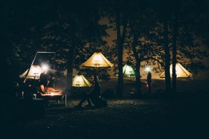 saarland-dormire-alberi