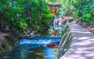 Yokyo_giardini_parchi