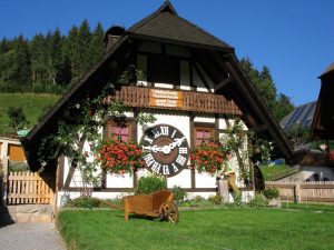 casa-foresta-nera