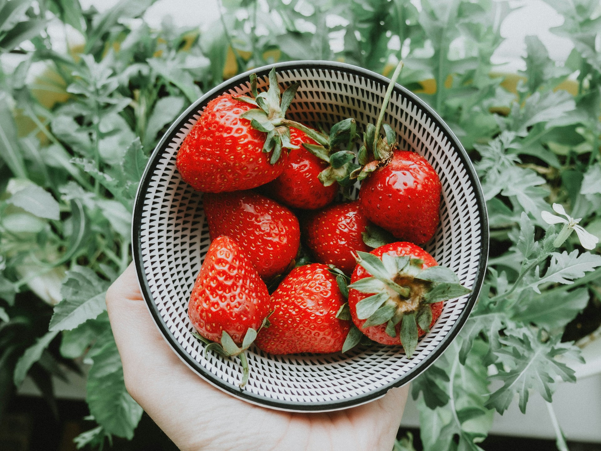 Frutta di stagione e sport