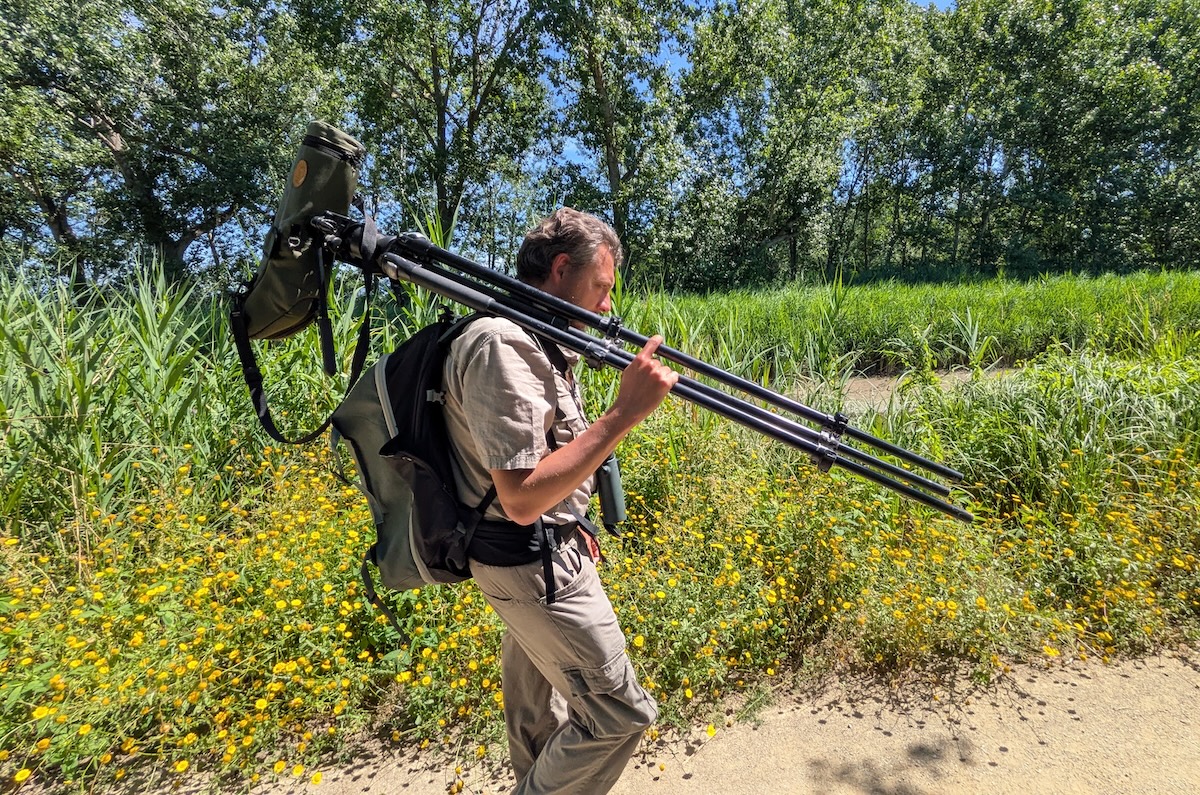 birdwatchingi-padule