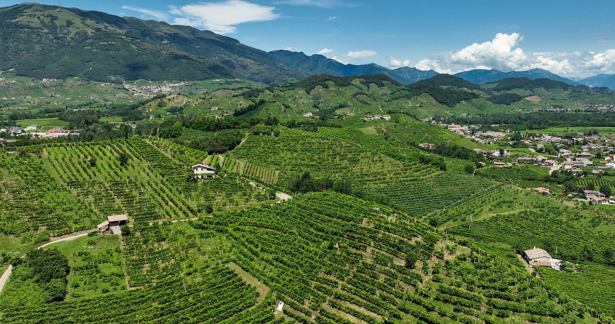 colline-sentiero-prosecco-valdobbiadene-conegliano