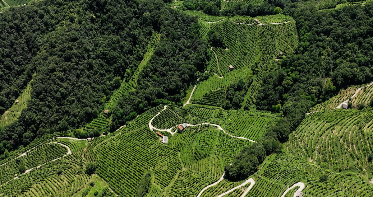 sentiero-prosecco-valdobbiadene-conegliano-tappe