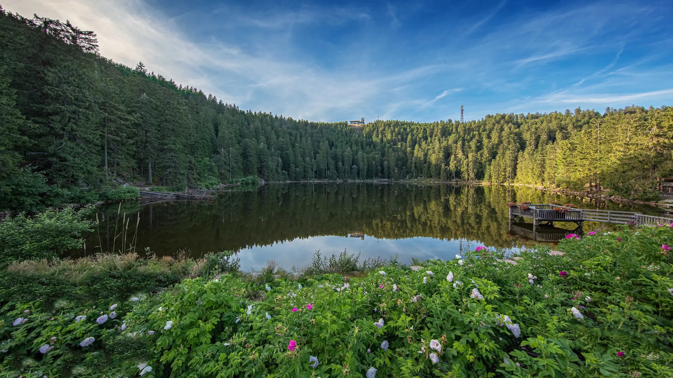 lago-mummelsee-germania-leggenda