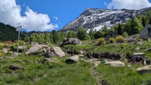 monte-tignolino-sentiero
