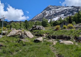 monte-tignolino-sentiero