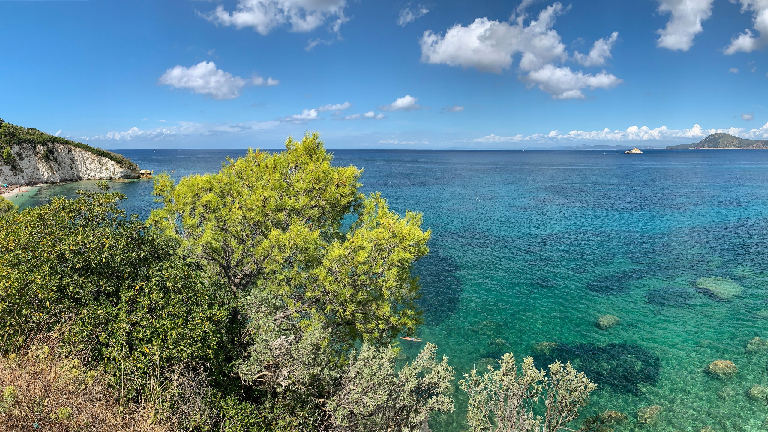 Strada alberata che conduce verso la spiaggia di Procchio sull'Isola d'Elba