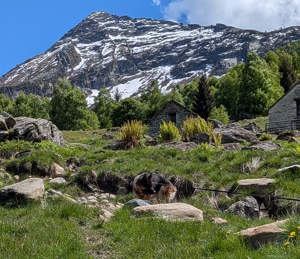 tignolino-sentiero-rifugio