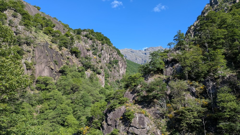 valpogallo