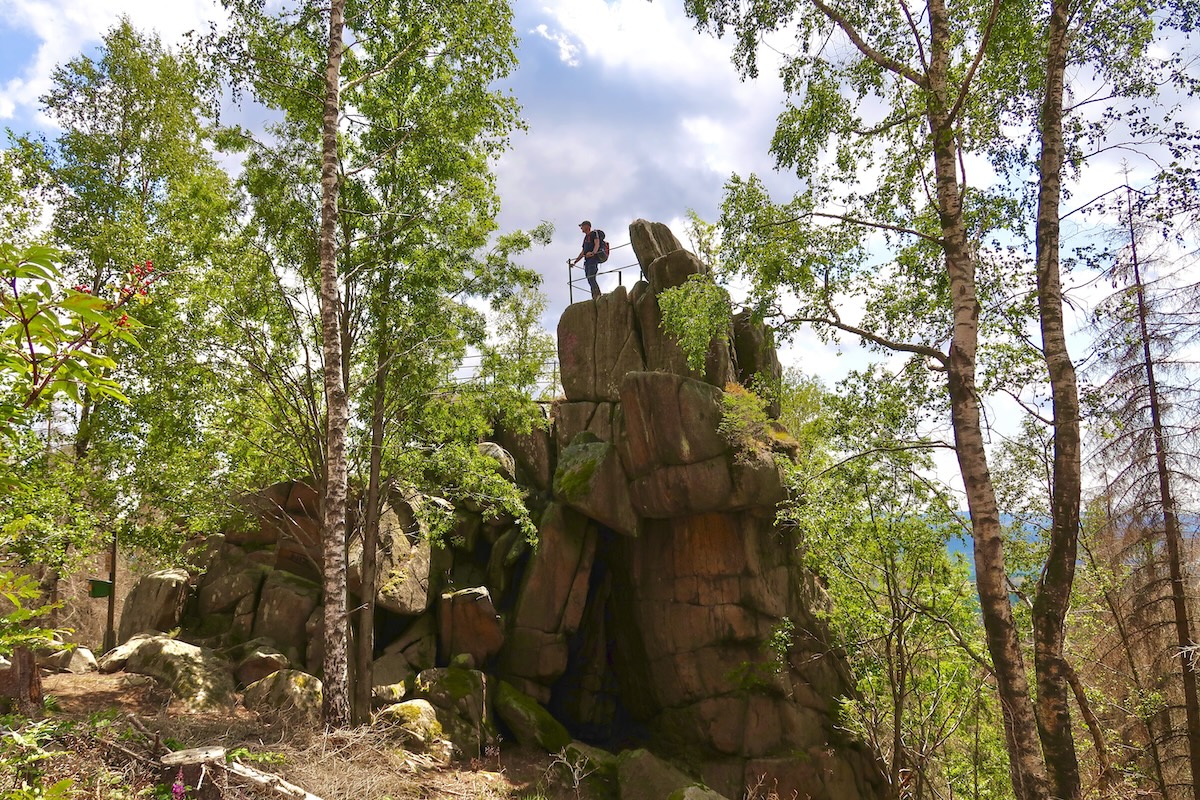 harz-trekkng-boschi-gemania