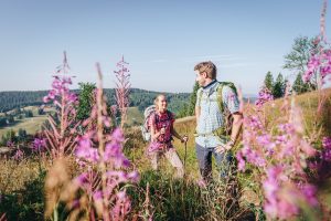 trakking-foresta-nera-germania