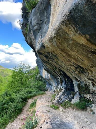 parchi nazionali in cui trovare il fresco