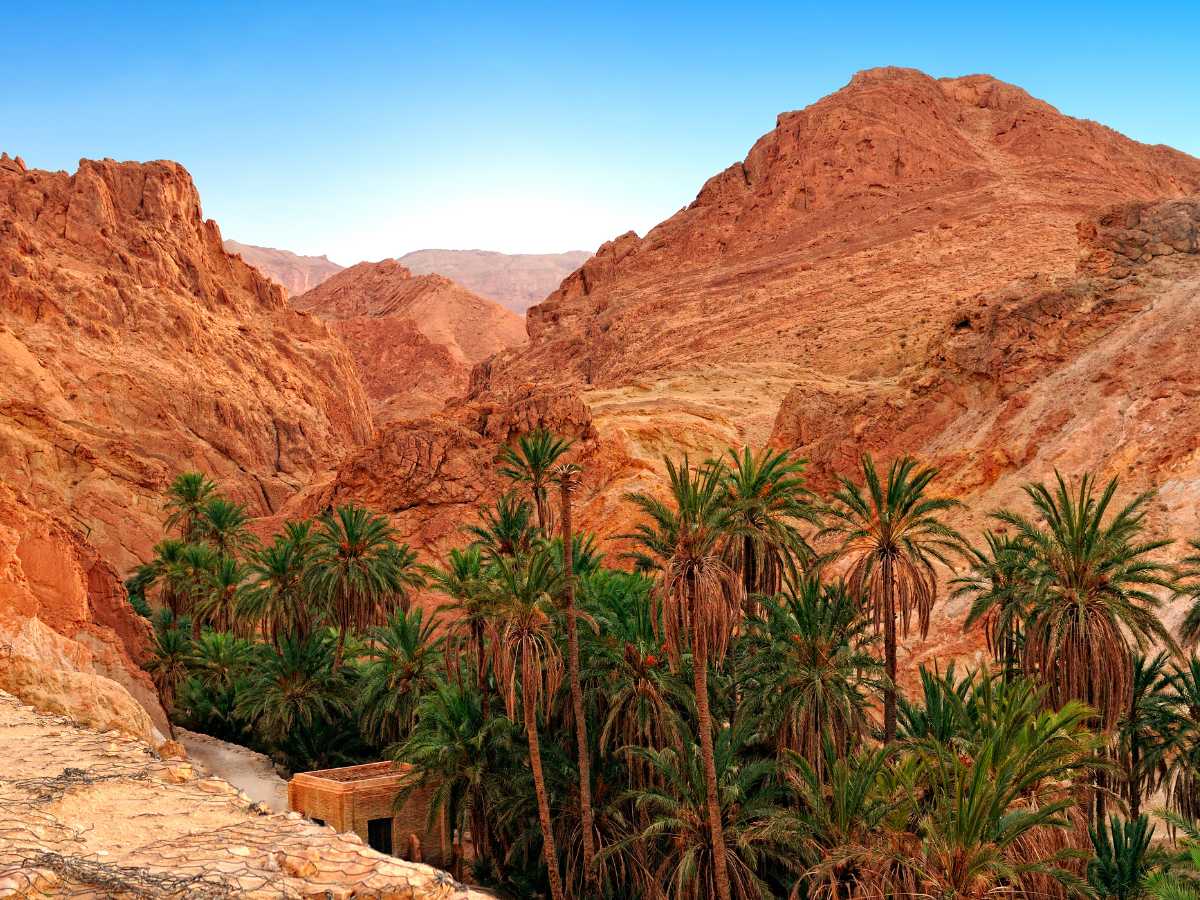 Paesaggio di Chebika in Tunisia